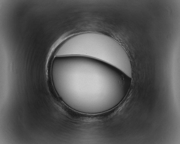 X0000086950246200704161103