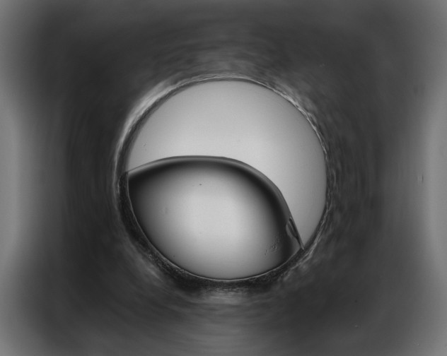 X0000086950248200704161103