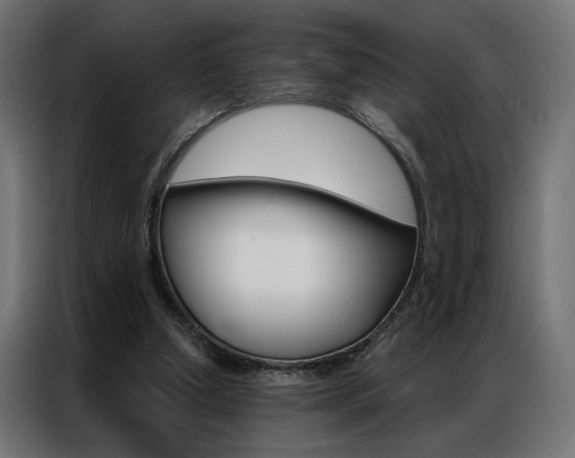 X0000086950250200704161103