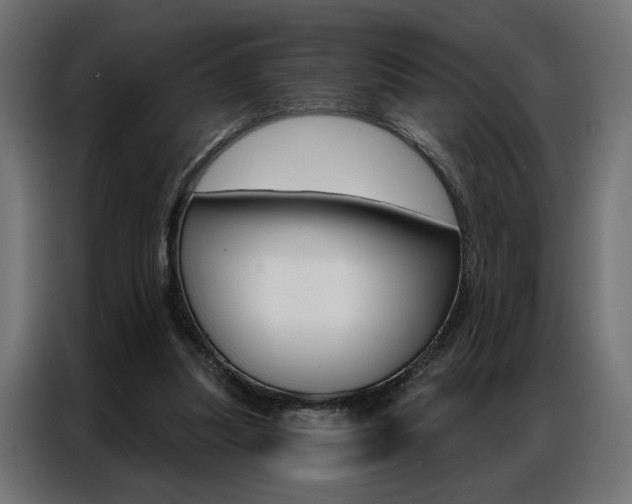 X0000086950251200704161103