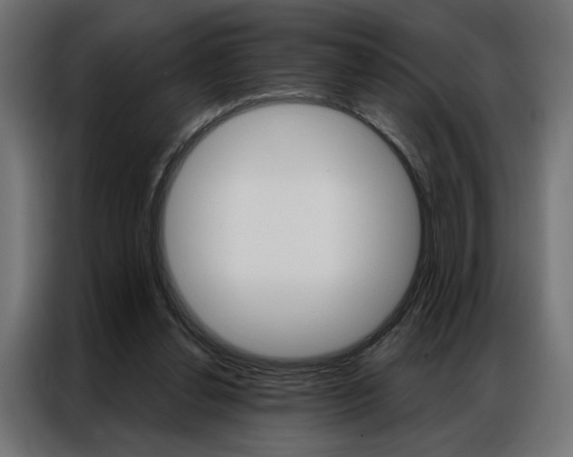 X0000086950252200704161103