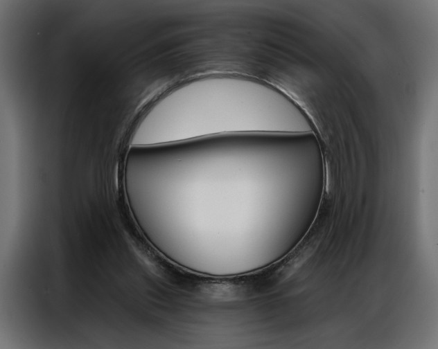 X0000086950253200704161103