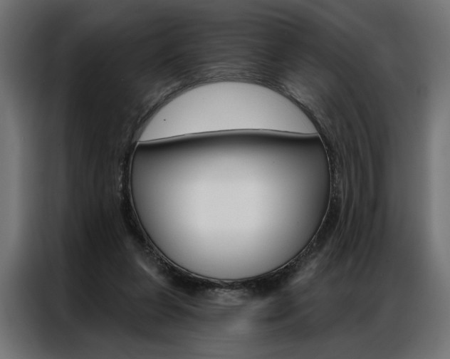 X0000086950255200704161103