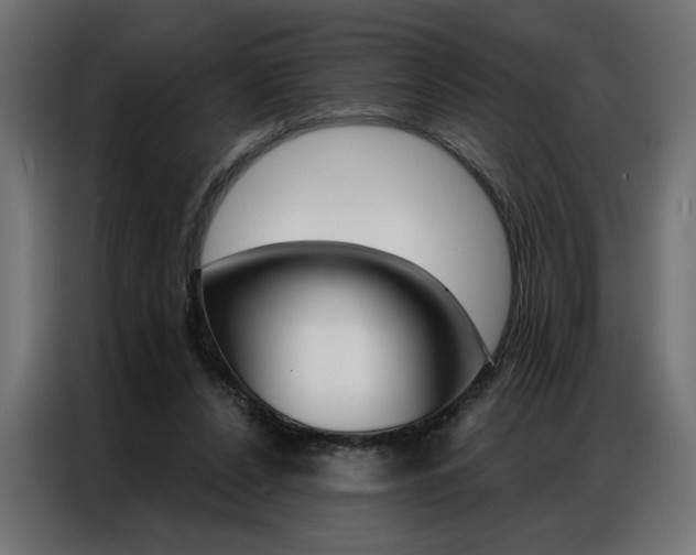 X0000086950256200704161103