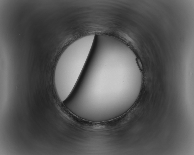 X0000086950257200704161103