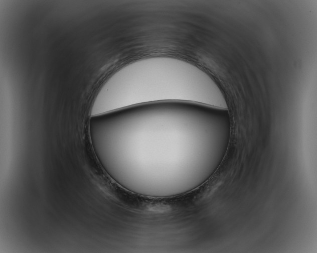 X0000086950258200704161103