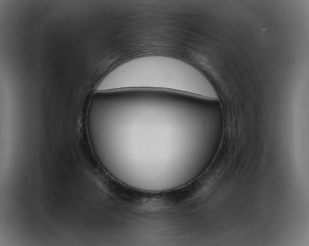 X0000086950259200704161103