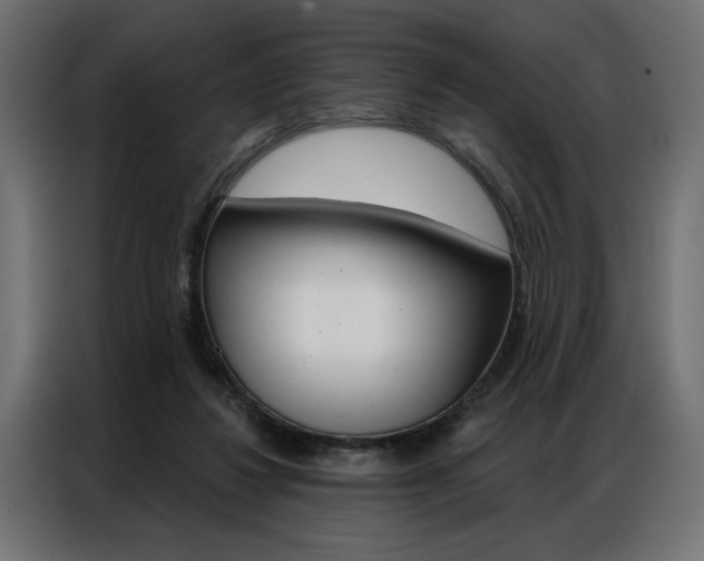 X0000086950260200704161103