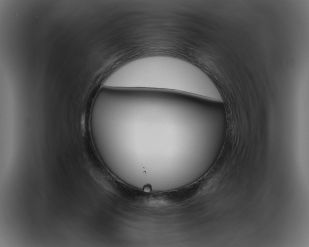 X0000086950262200704161103