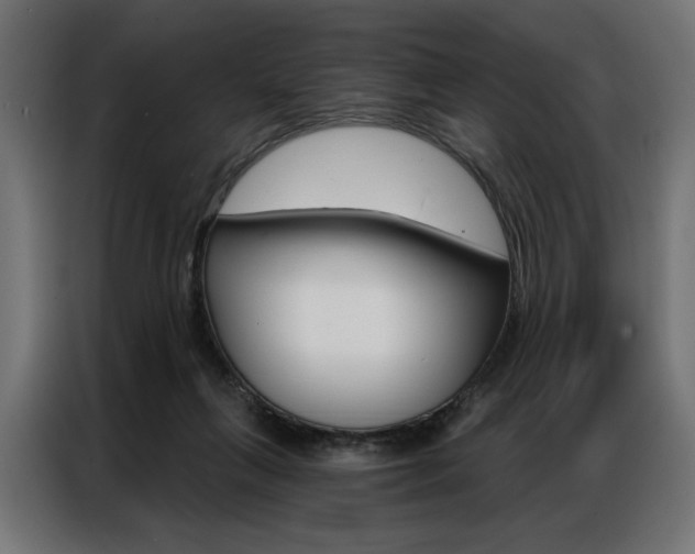 X0000086950263200704161103