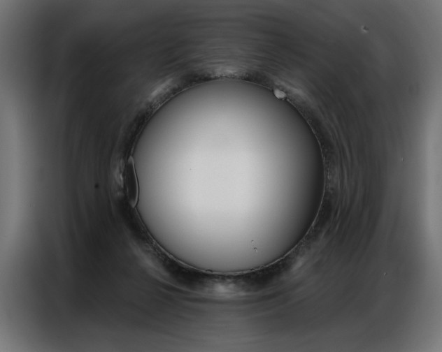 X0000086950264200704161103