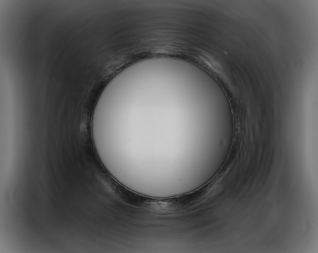X0000086950265200704161103