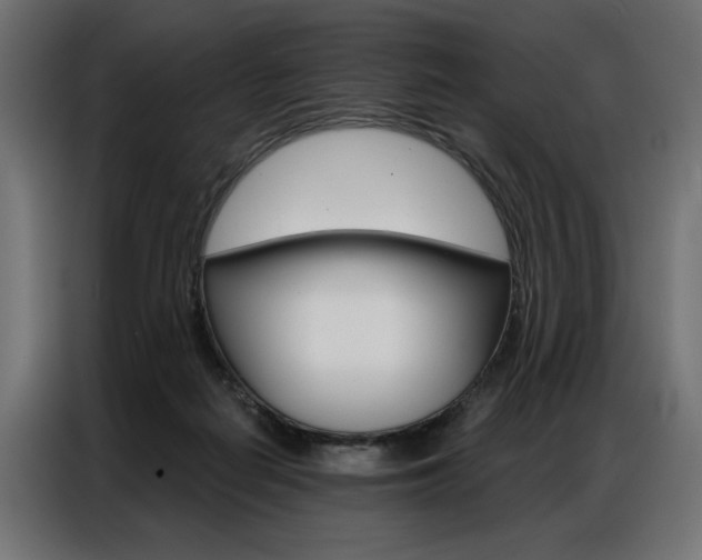 X0000086950266200704161103
