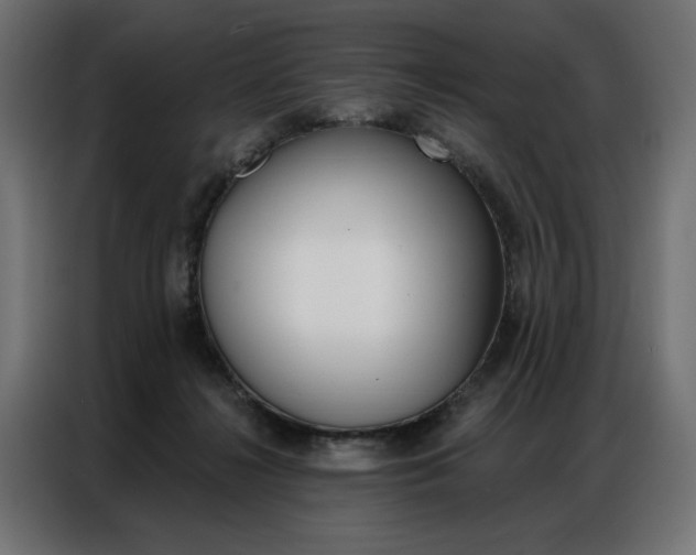 X0000086950268200704161103