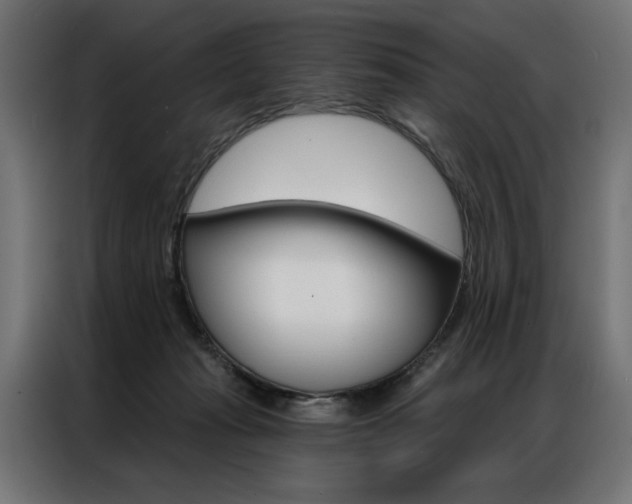 X0000086950269200704161103