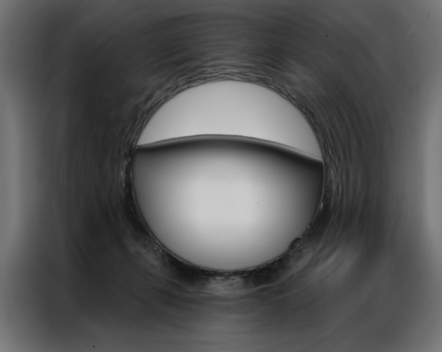 X0000086950271200704161104