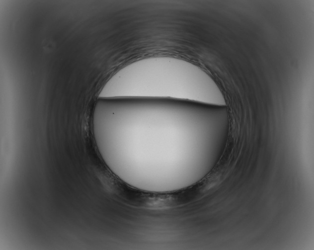 X0000086950274200704161104