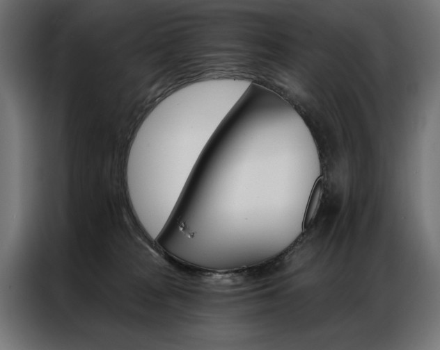 X0000086950277200704161104
