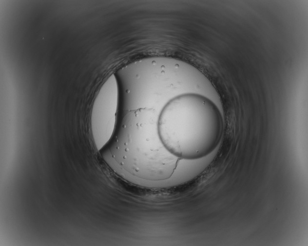 X0000086950278200704161104