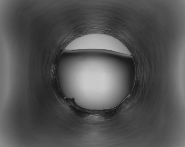 X0000086950280200704161104