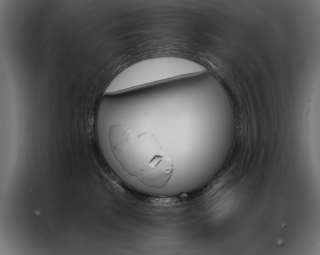 X0000086950281200704161104