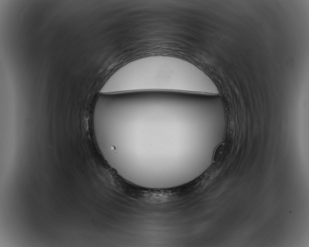 X0000086950282200704161104