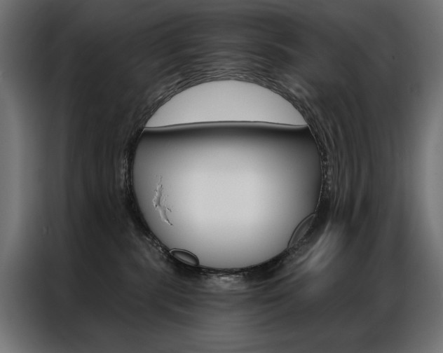 X0000086950283200704161104