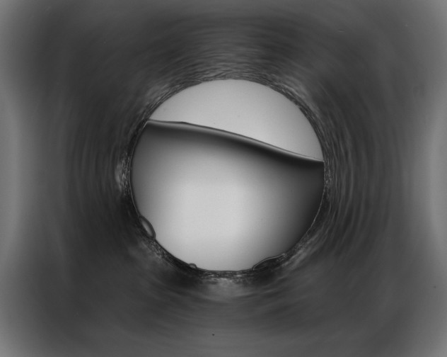 X0000086950285200704161104