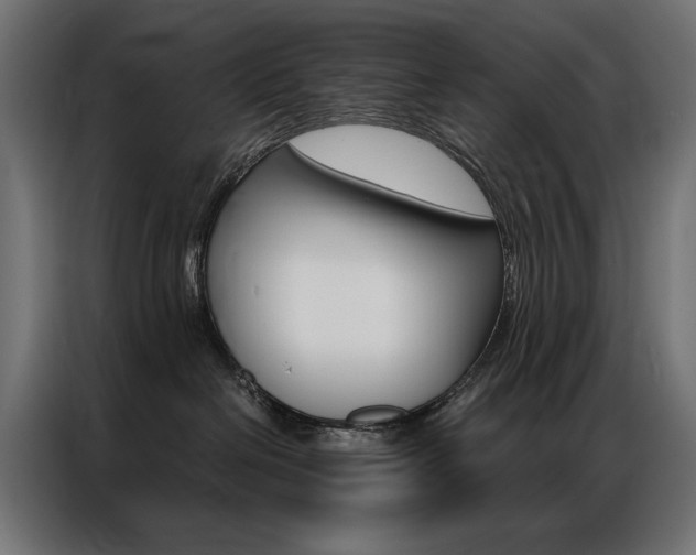 X0000086950286200704161104