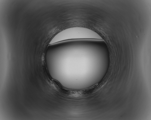 X0000086950288200704161104