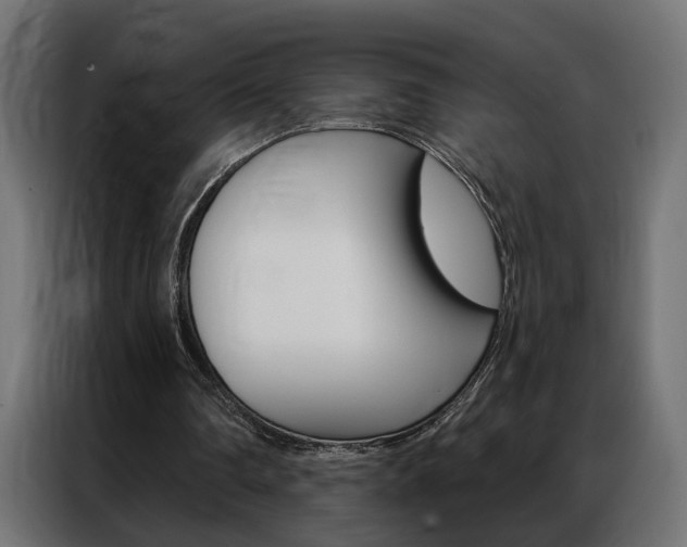 X0000086950290200704161103