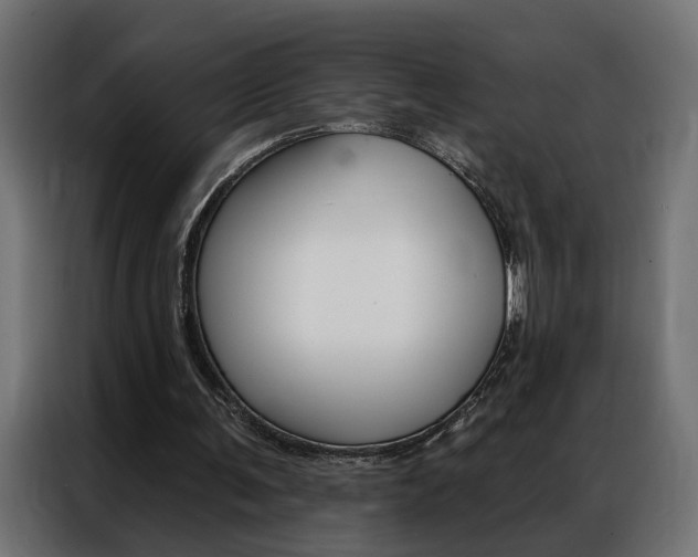 X0000086950291200704161103