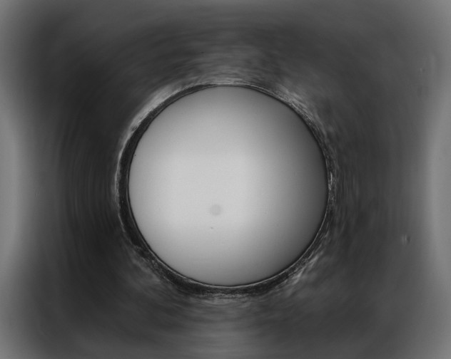 X0000086950292200704161103