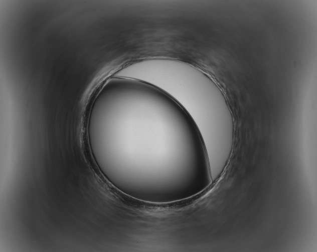 X0000086950293200704161103