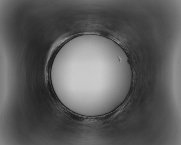 X0000086950294200704161103