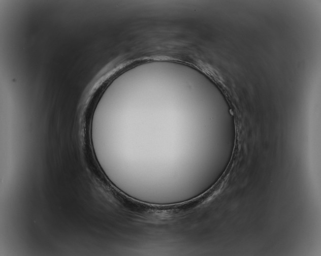 X0000086950295200704161103