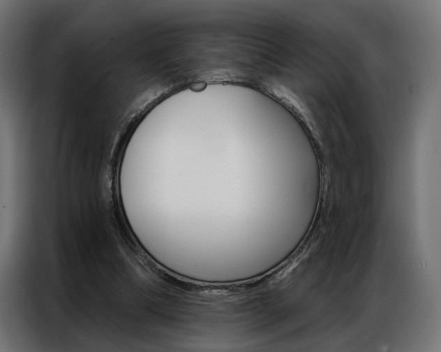 X0000086950298200704161103