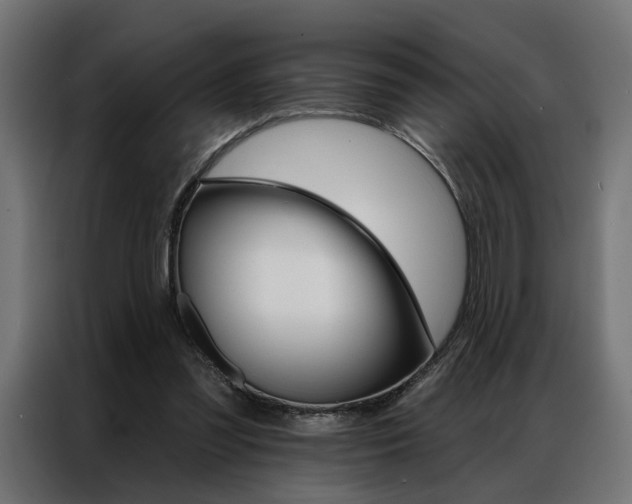 X0000086950301200704161103