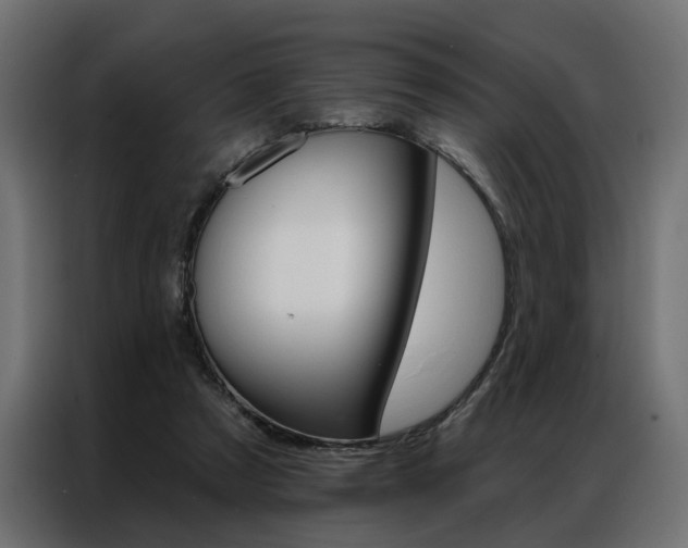 X0000086950305200704161103