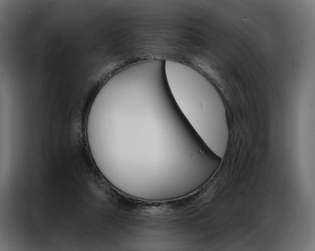 X0000086950306200704161103
