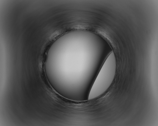 X0000086950309200704161103
