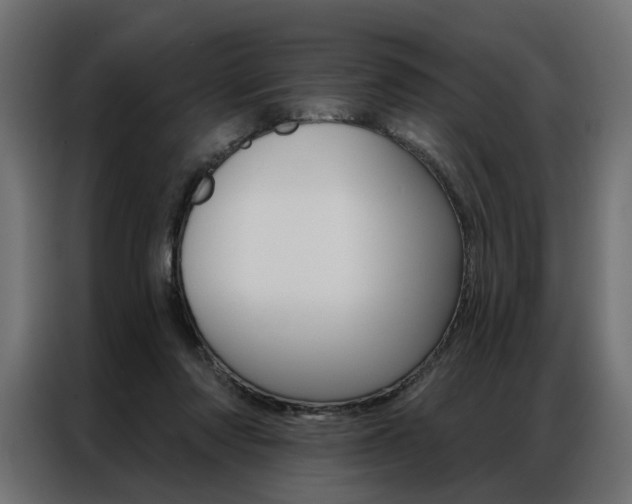 X0000086950310200704161103