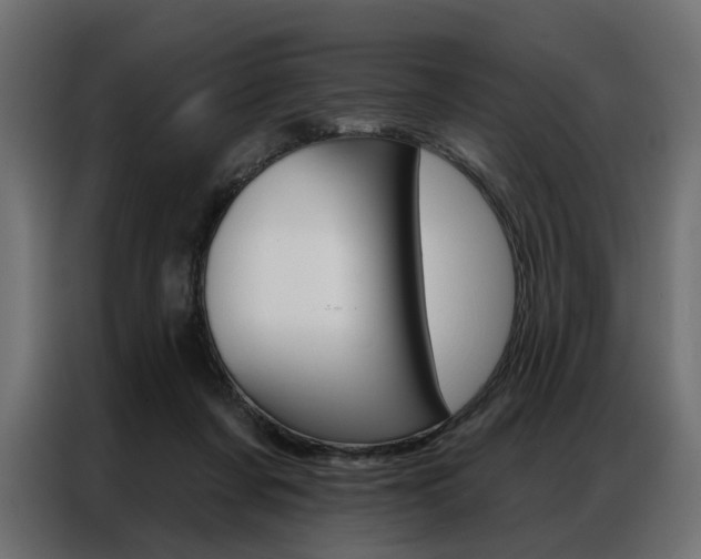 X0000086950311200704161103