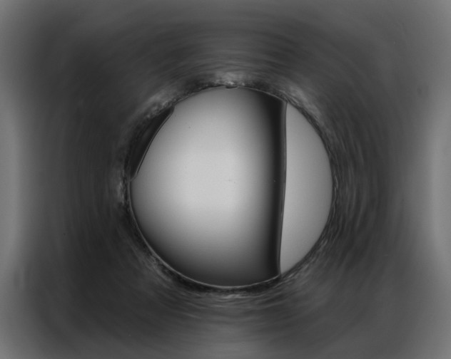 X0000086950313200704161103