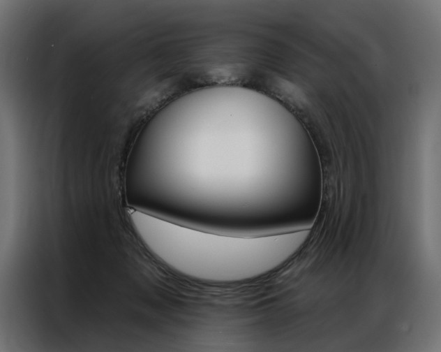 X0000086950317200704161103