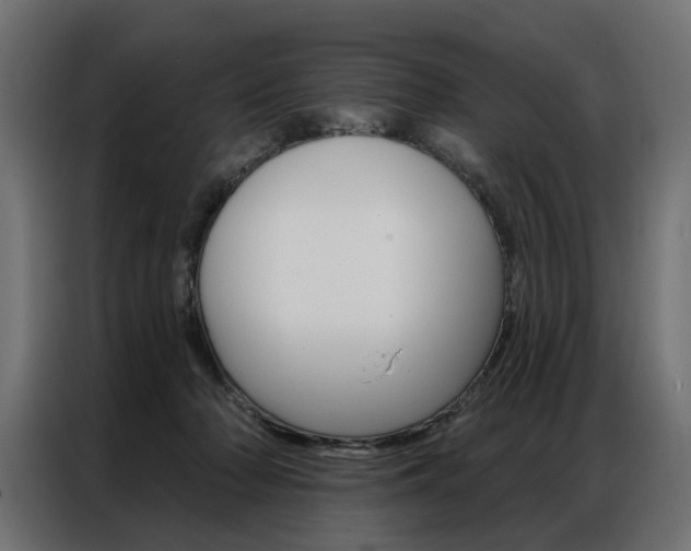 X0000086950318200704161103
