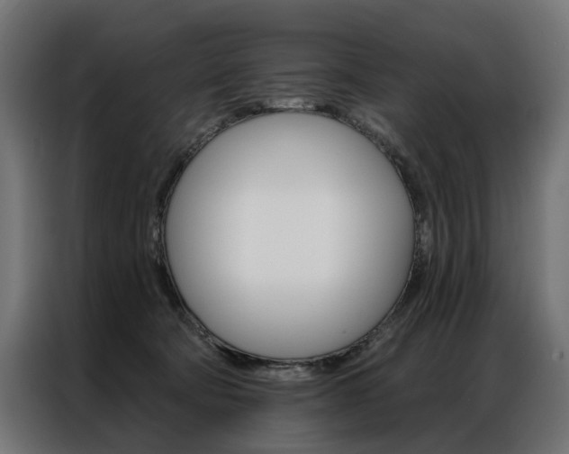 X0000086950322200704161103