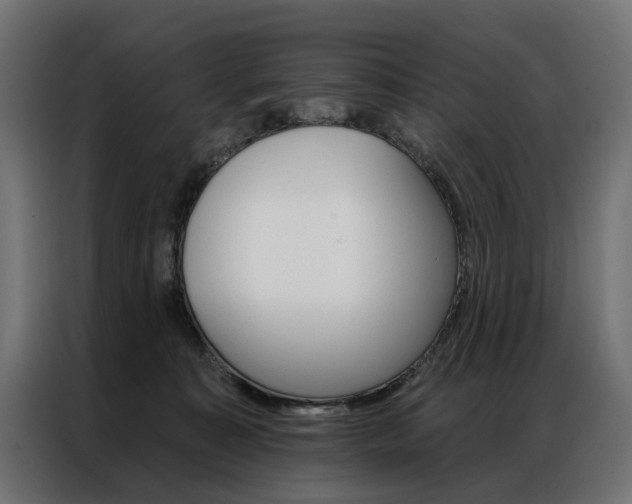 X0000086950323200704161103