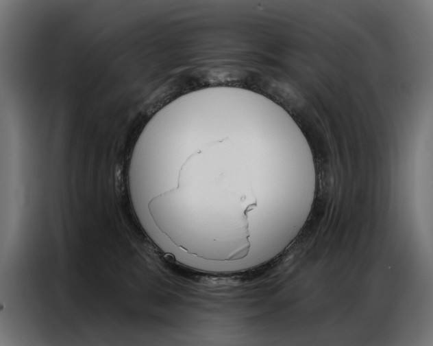 X0000086950327200704161103