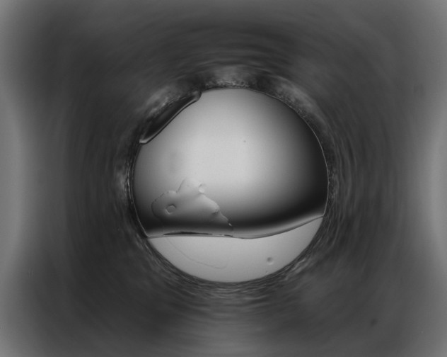 X0000086950329200704161103